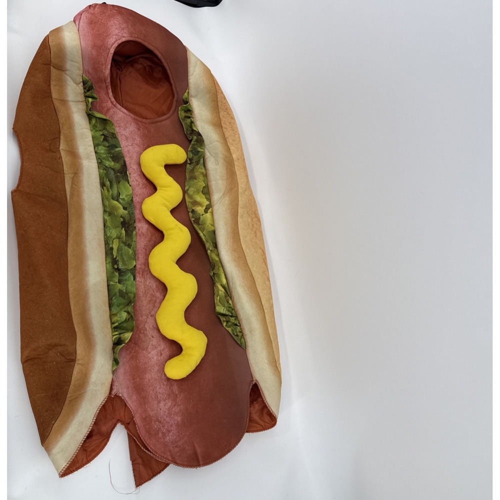 Hot Dog Bun Mustard Relish Costume Youth S/M Halloween Trick or Treating Unisex